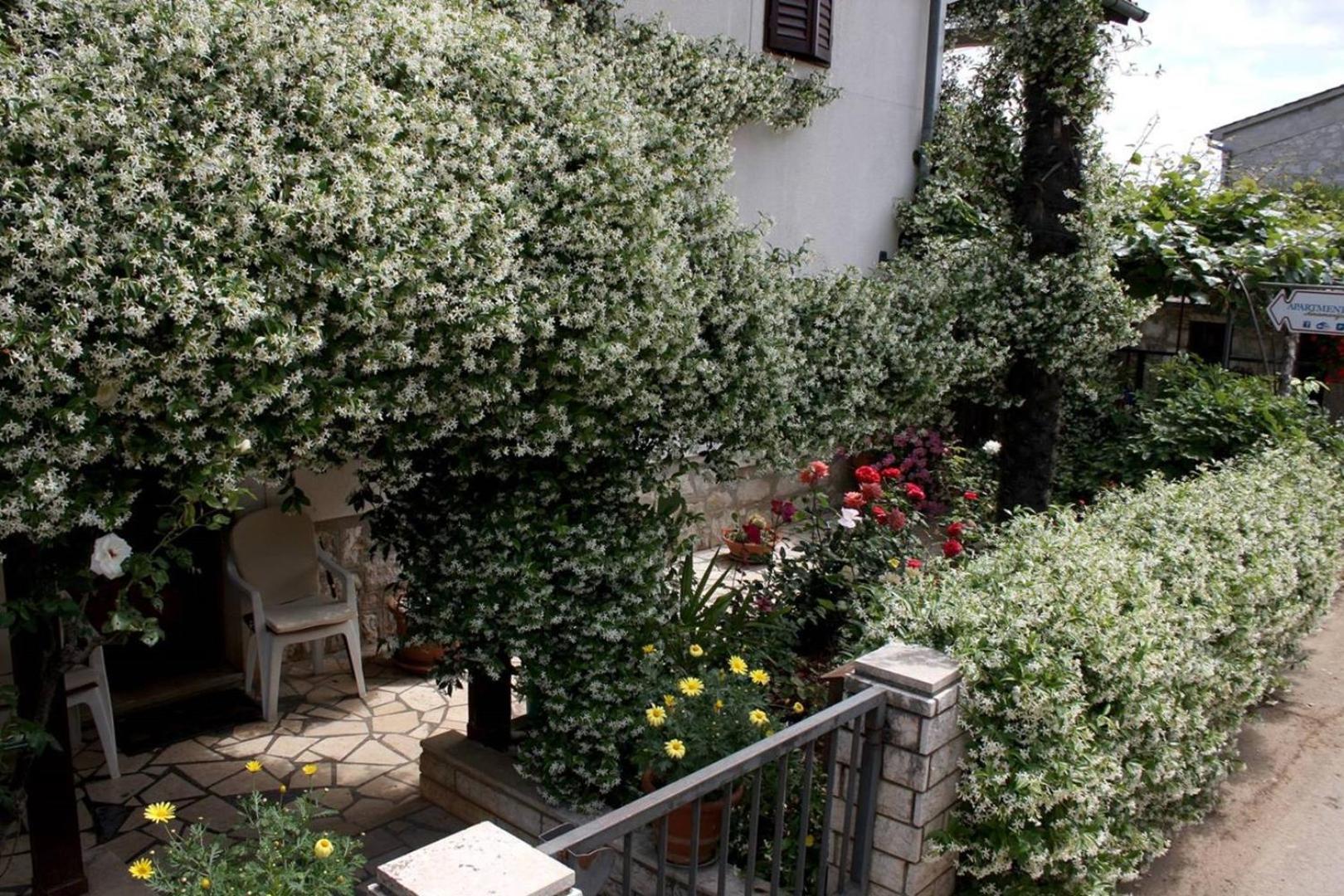Anamarija Apartments Near The Beach And The Fantastic Adria Sea With Over 10 Small Islands Close By Фунтана Экстерьер фото